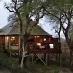 Southern Africa Safari Highlights - Kruger Park bushcamp