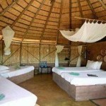 Kruger Park bush camp