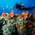Southren Africa Highlights Benquerra Corals