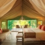 Souther Africa Highlights Tanda Tula bed