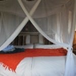 bush-camp-bed