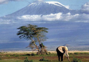 Kenya_beach_Safari_Kilimanjaro