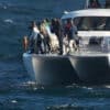 southern-right-whale watching