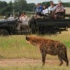 South Luangwa Safari game-drive