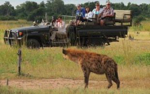Game drive Etosha National Park open safari vehicle