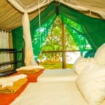 luxury-tents-bed