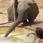 Luxus Safari Hwange & Victoria Falls-elephant-pool