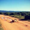 lion-in-addo-elephant park