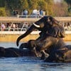 namibia victoria falls okavango lodge safari