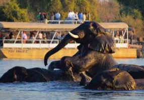 namibia victoria falls okavango lodge safari