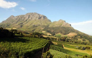 IrinaAfrica Safaris Cape winelands delaire-graff