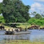Chobe Princess boat safari