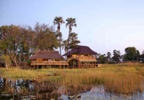 botswana luxury safari gunns camp okavango delta