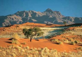 cape town - windhoek private guided tour