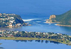 Guided Garden Route Tour and Safari One Way