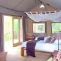 Miombo Safari Camp_interior_tree house