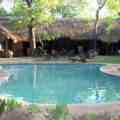 Miombo Safari Camp_pool