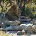 South Luangwa Victoria Falls Hwange Budget safari