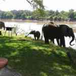 South Luangwa Victoria Falls Hwange Budget safari