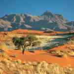 namib rand-landscape