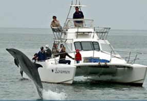 Laramon Dolphin Cruise
