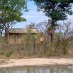 miombo safari camp suite