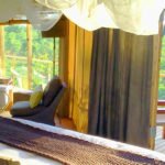 miombo safari Camp suite