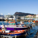 Kalk-Bay-Harbour colorful fishing boats