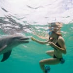 dolphin with girl